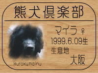 �I�[�i�[�́A�J�}���}�}����ł���